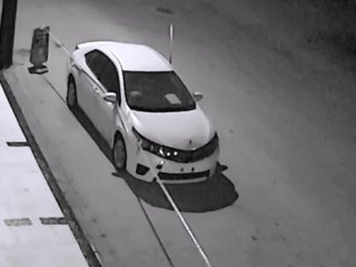 Sokak köpekleri otomobilinin tamponunu parçaladı