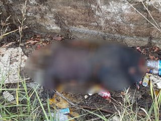 Kayıp kadının cesedi 21 gün sonra sulama kanalında bulundu