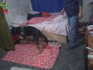 Fuhuş operasyonunda AIDS şoku!