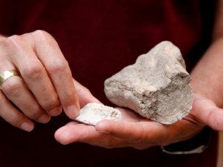 Kayseri'de zürafa fosili bulundu!