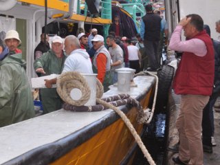 Palamut satışı 14 kat arttı