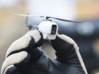 TSK'ya böcek İHA'lar geliyor!