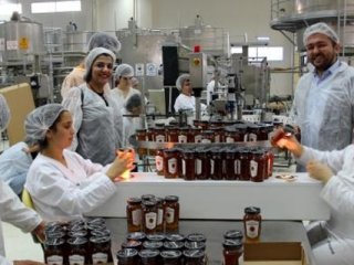 Türkiye'de ilk toz bal üretimine başlandı