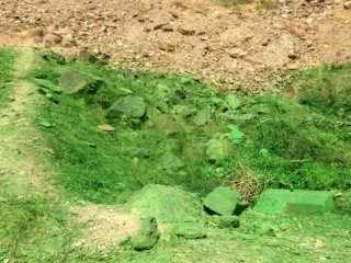 CHP'li belediye yeşillendirmek yerine boyadı