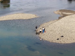 Irmak ortasında tehlikeli balık avı
