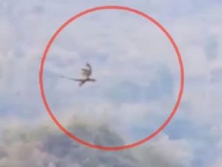 Çin'de ejderha görüntülendi!