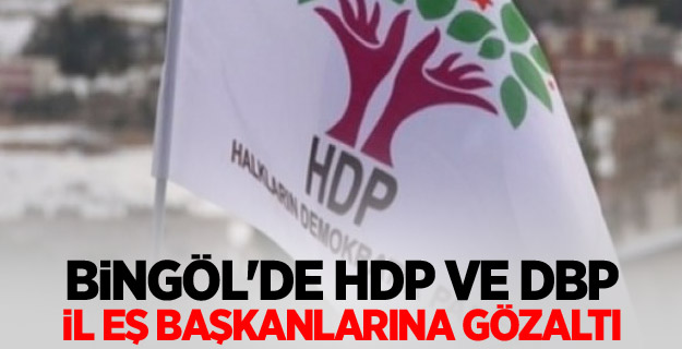 Bingöl'de HDP ve DBP il eş başkanlarına gözaltı