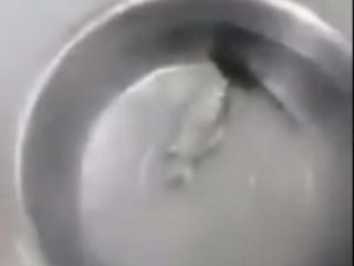 Bu video gerçek mi? İzleyince şaşıp kalacaksınız...