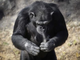 Günde 20 tane içmeden duramıyor!