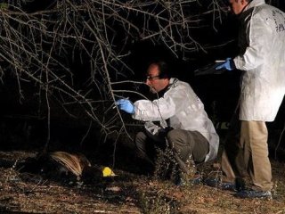 Muğla’da yanmış kadın cesedi bulundu