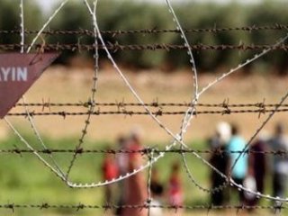 Uzmanlardan mayınlara ıspanaklı çözüm