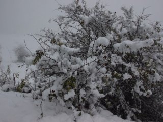 Ağrı'da eğitime kar engeli