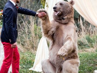 Nikah şahitleri ayı oldu