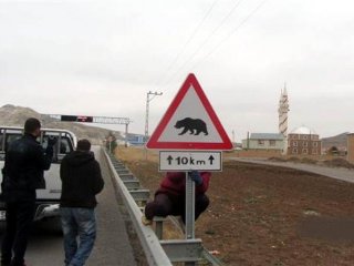 Erzurum'da  'Bozayı' trafik levhası!