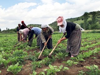 Başbakan Yıldırım'dan çiftçiye indirim müjdesi
