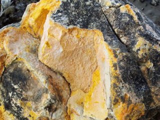 80 kilosu üç milyon dolar!