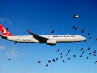 THY pilotu Ebru Ünsal'dan örnek davranış!