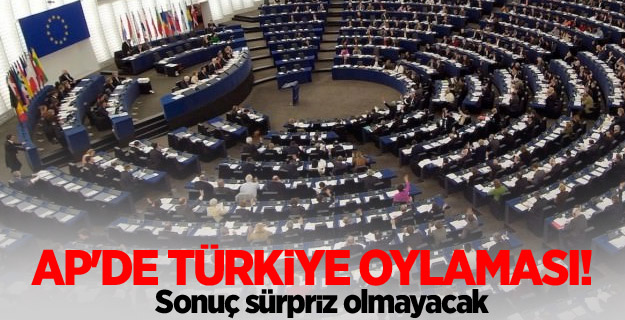 AP'de Türkiye oylaması!