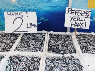 Hamsi 2 TL’ye düşünce vatandaş tezgaha koştu