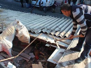 Balıkçının çatısına at düştü