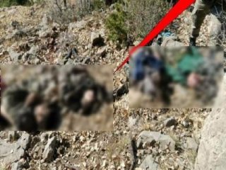 TSK az önce duyurdu: PKK'ya bir darbe daha!