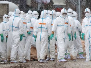 Kuş gribi, Türkiye'ye yaklaşıyor