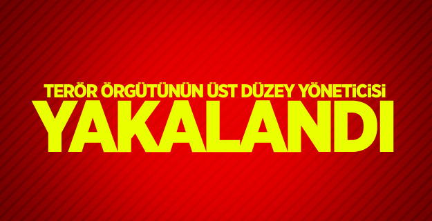 Terör örgütünün üst düzey yöneticisi yakalandı