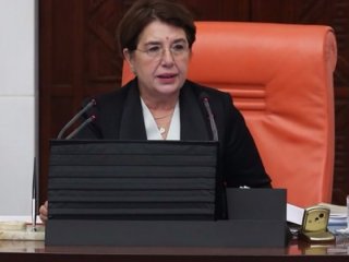 Almanya'dan Bahçekapılı'ya skandal muamele