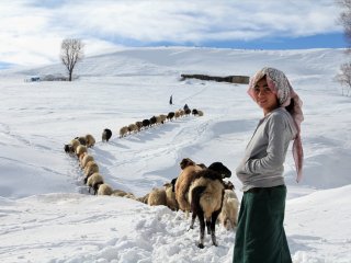 Besicilerin zorlu kış mesaisi