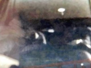 Teröristlerin 12 saatlik alçak turunun şifreleri