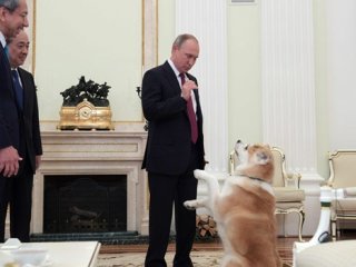 Putin Japon gazetecileri köpeğiyle korkuttu