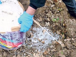 Terör örgütünün uyuyan hücresi çökertildi