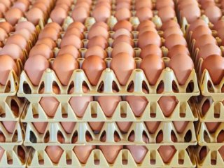 Yumurta fiyatları uçtu gitti