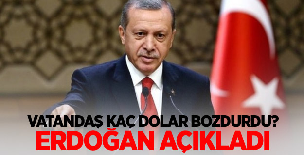 Vatandaş kaç dolar bozdurdu? Erdoğan açıkladı