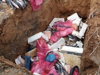 Lokantada kedi eti ele geçirildi