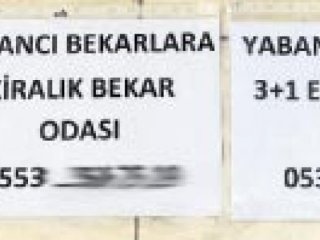 Zeytinburnun'da yaşayanlar tedirginlik içinde!