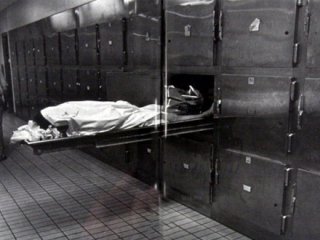 380 ceset sahipsiz kaldı!