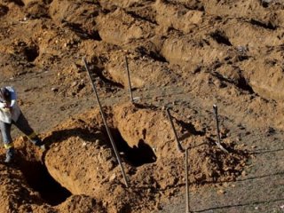 Brezilya'da yeni bir cezaevi isyanı: 33 ölü