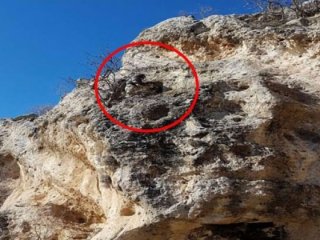 Gabar Dağı'ndaki operasyonun görüntüleri