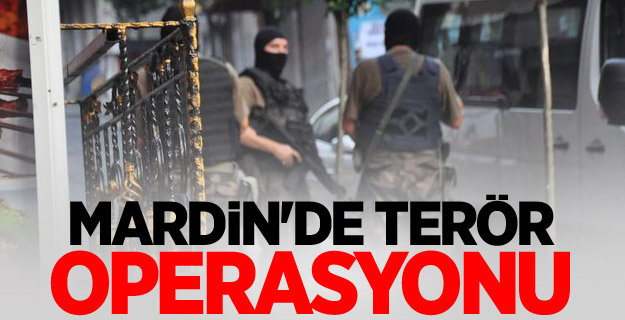 Mardin'de terör operasyonu
