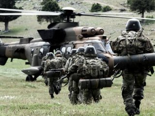 Kritik Başika açıklaması