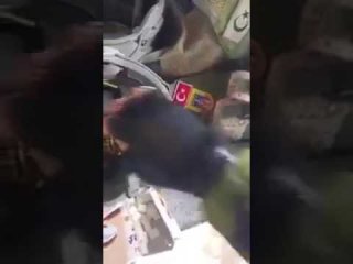 El Bab'ta mermiyle çay karıştıran asker