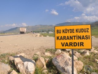 Afyonkarahisar'da kuduz alarmı