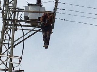 Elektrik direğinde ölü bulundu