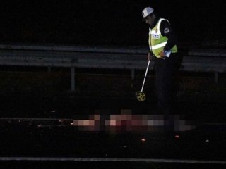 Yolun karşısına geçmek isterken hayatını kaybetti