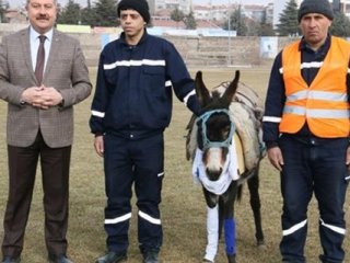 Fatih Altaylı’nın sözüne kızan başkan sahaya eşekle çıktı