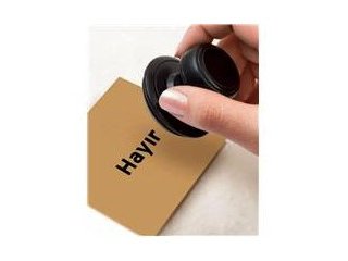 Milli Gazete yazarının referandum oyu: Hayır