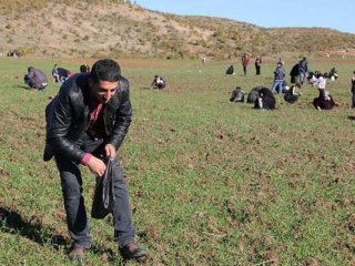 Türkiye'de bir anda yeni bir meslek ortaya çıktı