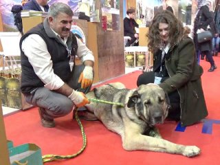 25 bin TL teklif edilen köpeğini satmadı