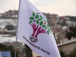 HDP'li Lezgin Botan serbest bırakıldı